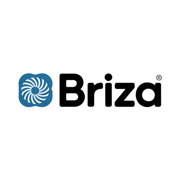 Briza